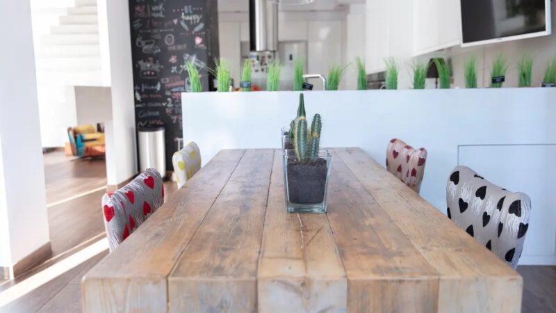 ginger fred silla 2022 baja 03