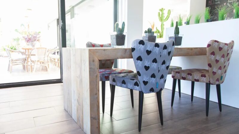 ginger fred silla 2022 baja 09