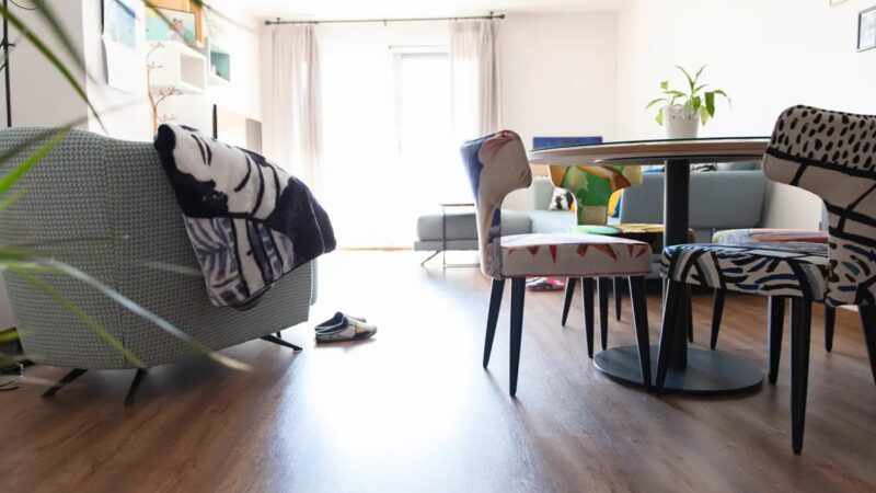 mili y lalo 2021 baja 05