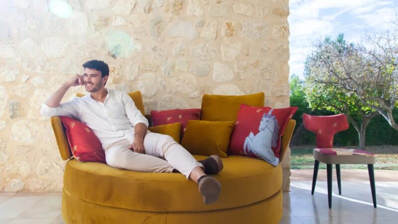 Myapple sofa 2022 09